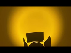 WW CW-LED-fresnel-spotlicht